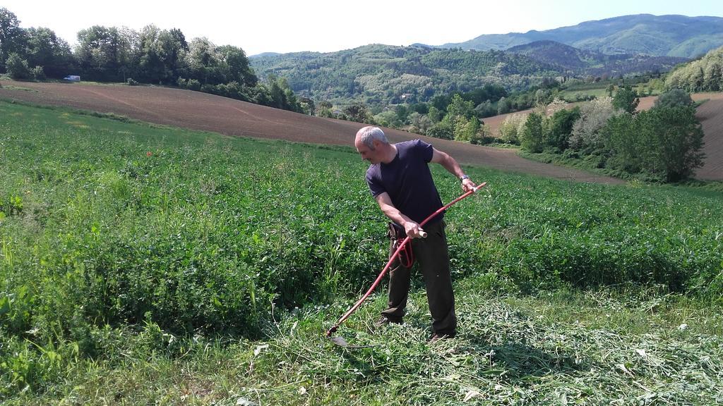 فيلا Agriturismo Stazione Di Monta فيتشو المظهر الخارجي الصورة